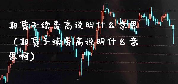 期货手续费高说明什么意思（期货手续费高说明什么意思啊）_https://www.boyangwujin.com_期货直播间_第1张