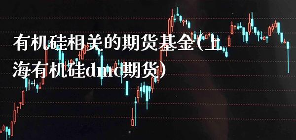 有机硅相关的期货基金(上海有机硅dmc期货)_https://www.boyangwujin.com_黄金期货_第1张