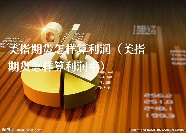 美指期货怎样算利润（美指期货怎样算利润率）