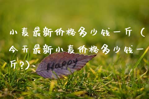 小麦最新价格多少钱一斤（今天最新小麦价格多少钱一斤?）_https://www.boyangwujin.com_期货直播间_第1张