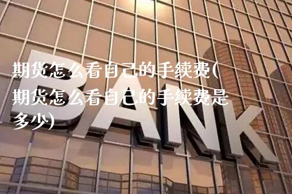 期货怎么看自己的手续费(期货怎么看自己的手续费是多少)