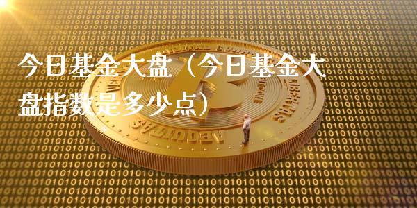 今日基金大盘（今日基金大盘指数是多少点）_https://www.boyangwujin.com_原油期货_第1张
