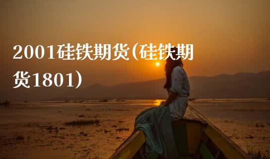 2001硅铁期货(硅铁期货1801)