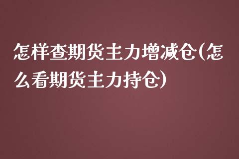 怎样查期货主力增减仓(怎么看期货主力持仓)