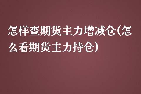 怎样查期货主力增减仓(怎么看期货主力持仓)