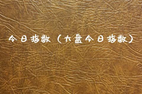 今日指数（大盘今日指数）