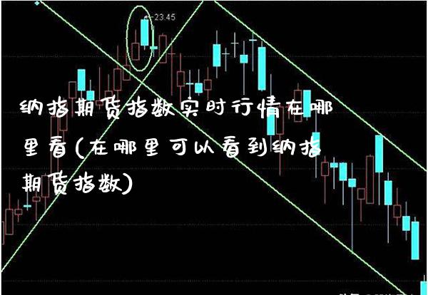 纳指期货指数实时行情在哪里看(在哪里可以看到纳指期货指数)