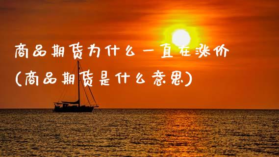 商品期货为什么一直在涨价(商品期货是什么意思)_https://www.boyangwujin.com_白银期货_第1张