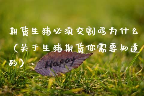 期货生猪必须交割吗为什么（关于生猪期货你需要知道的）_https://www.boyangwujin.com_原油期货_第1张