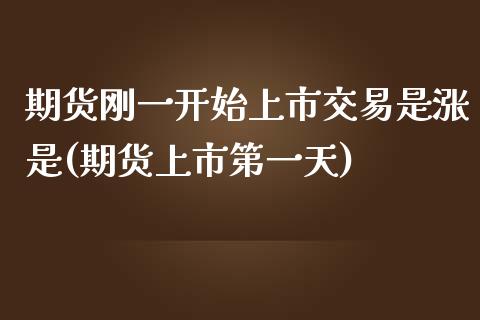 期货刚一开始上市交易是涨是(期货上市第一天)_https://www.boyangwujin.com_恒指期货_第1张