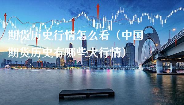 期货历史行情怎么看（中国期货历史有哪些大行情）