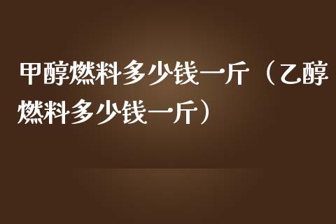 甲醇燃料多少钱一斤（乙醇燃料多少钱一斤）