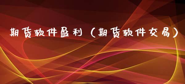 期货软件盈利（期货软件交易）