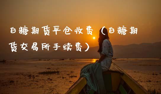 白糖期货平仓收费（白糖期货交易所手续费）