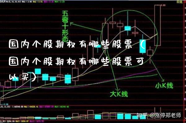 国内个股期权有哪些股票（国内个股期权有哪些股票可以买）_https://www.boyangwujin.com_期货直播间_第1张