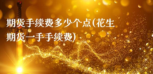 期货手续费多少个点(花生期货一手手续费)_https://www.boyangwujin.com_内盘期货_第1张