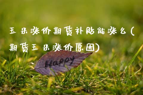 玉米涨价期货补贴能涨么(期货玉米涨价原因)_https://www.boyangwujin.com_白银期货_第1张
