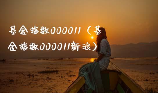 基金指数000011（基金指数000011新浪）_https://www.boyangwujin.com_期货直播间_第1张