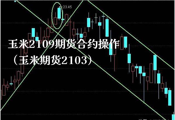 玉米2109期货合约操作（玉米期货2103）