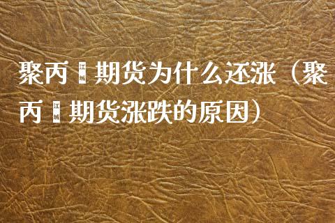 聚丙烯期货为什么还涨（聚丙烯期货涨跌的原因）_https://www.boyangwujin.com_期货直播间_第1张