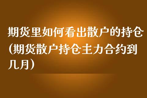 期货里如何看出散户的持仓(期货散户持仓主力合约到几月)