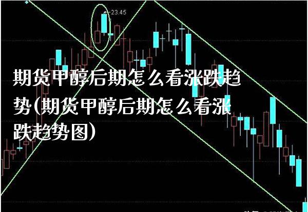 期货甲醇后期怎么看涨跌趋势(期货甲醇后期怎么看涨跌趋势图)_https://www.boyangwujin.com_期货直播间_第1张