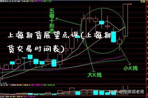 上海期货展望点评(上海期货交易时间表)_https://www.boyangwujin.com_期货直播间_第1张