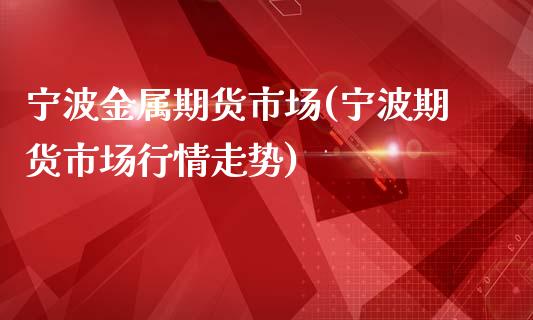 宁波金属期货市场(宁波期货市场行情走势)_https://www.boyangwujin.com_原油期货_第1张