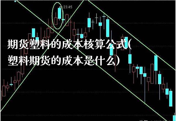 期货塑料的成本核算公式(塑料期货的成本是什么)_https://www.boyangwujin.com_期货直播间_第1张
