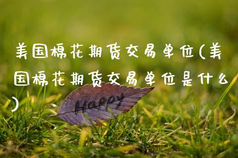 美国棉花期货交易单位(美国棉花期货交易单位是什么)_https://www.boyangwujin.com_黄金期货_第1张