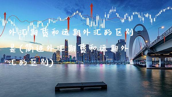 外汇期货和远期外汇的区别是(简述外汇期货和远期外汇的区别)_https://www.boyangwujin.com_内盘期货_第1张