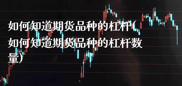 如何知道期货品种的杠杆(如何知道期货品种的杠杆数量)_https://www.boyangwujin.com_期货直播间_第1张