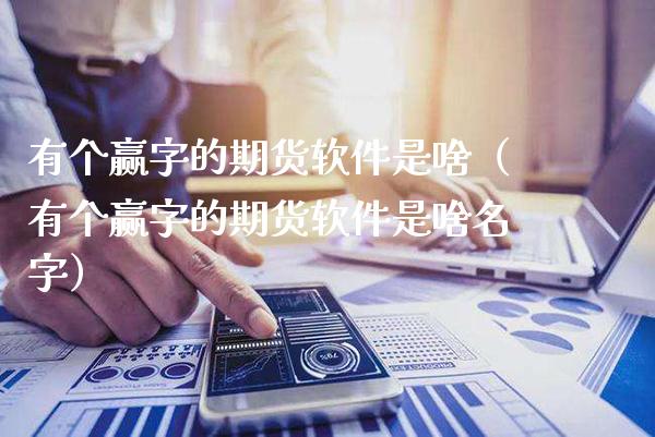 有个赢字的期货软件是啥（有个赢字的期货软件是啥名字）