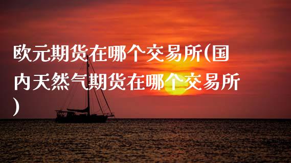 欧元期货在哪个交易所(国内天然气期货在哪个交易所)