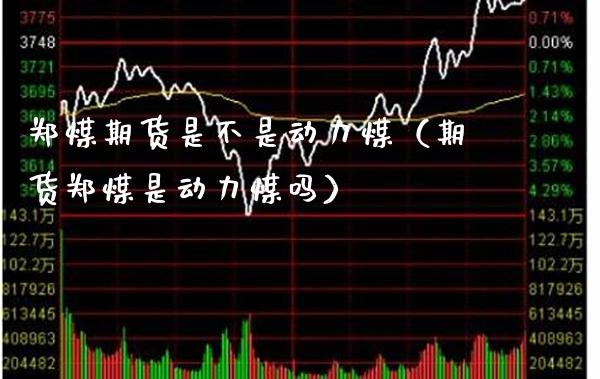 郑煤期货是不是动力煤（期货郑煤是动力煤吗）