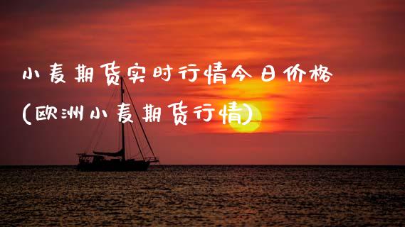 小麦期货实时行情今日价格(欧洲小麦期货行情)