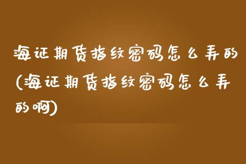 海证期货指纹密码怎么弄的(海证期货指纹密码怎么弄的啊)_https://www.boyangwujin.com_期货直播间_第1张