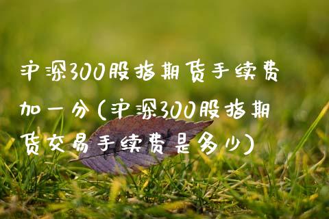 沪深300股指期货手续费加一分(沪深300股指期货交易手续费是多少)_https://www.boyangwujin.com_期货科普_第1张