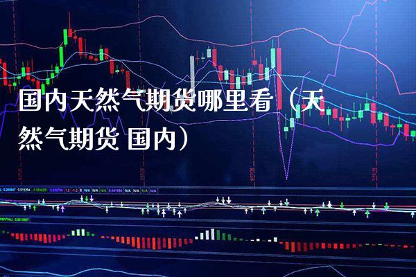 国内天然气期货哪里看（天然气期货 国内）