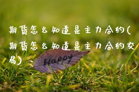 期货怎么知道是主力合约(期货怎么知道是主力合约交易)_https://www.boyangwujin.com_期货直播间_第1张
