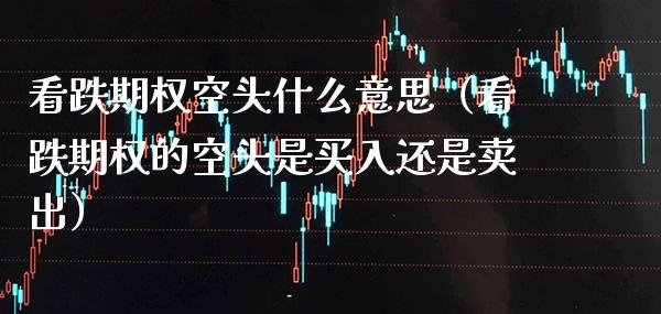 看跌期权空头什么意思（看跌期权的空头是买入还是卖出）_https://www.boyangwujin.com_期货直播间_第1张