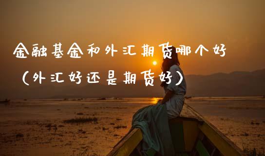 金融基金和外汇期货哪个好（外汇好还是期货好）