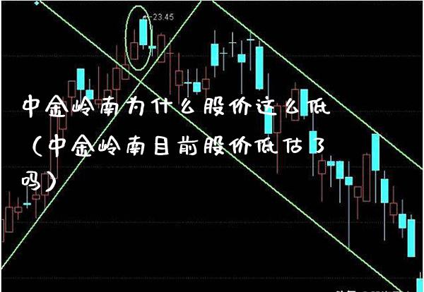 中金岭南为什么股价这么低（中金岭南目前股价低估了吗）_https://www.boyangwujin.com_黄金期货_第1张