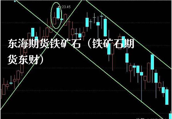 东海期货铁矿石（铁矿石期货东财）