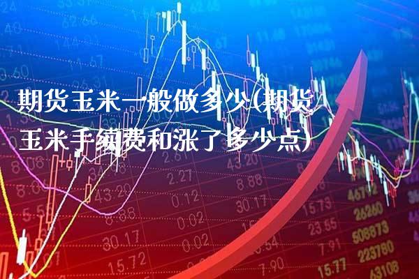 期货玉米一般做多少(期货玉米手续费和涨了多少点)_https://www.boyangwujin.com_白银期货_第1张