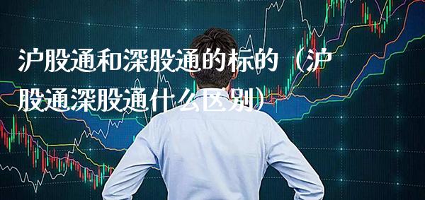 沪股通和深股通的标的（沪股通深股通什么区别）
