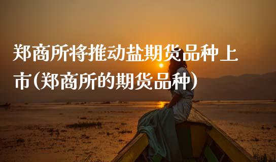 郑商所将推动盐期货品种上市(郑商所的期货品种)_https://www.boyangwujin.com_黄金期货_第1张