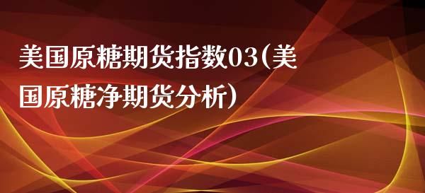 美国原糖期货指数03(美国原糖净期货分析)
