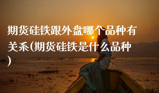 期货硅铁跟外盘哪个品种有关系(期货硅铁是什么品种)_https://www.boyangwujin.com_期货科普_第1张