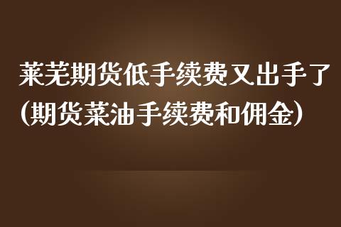 莱芜期货低手续费又出手了(期货菜油手续费和佣金)